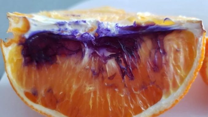 The mystery of the purple orange solved in Brisbane