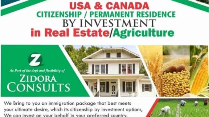 USA/Canadian Citizenship by investment - Daily Post Nigeria