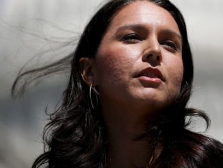 Why Conservative Media and the Far Right Love Tulsi Gabbard for President