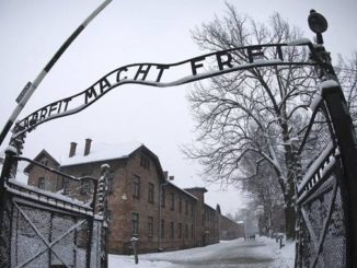 Reality check: Is it OK to call migrant detention centres concentration camps? - National
