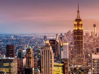Things to Know Before Moving to the U.S.A. from Japan